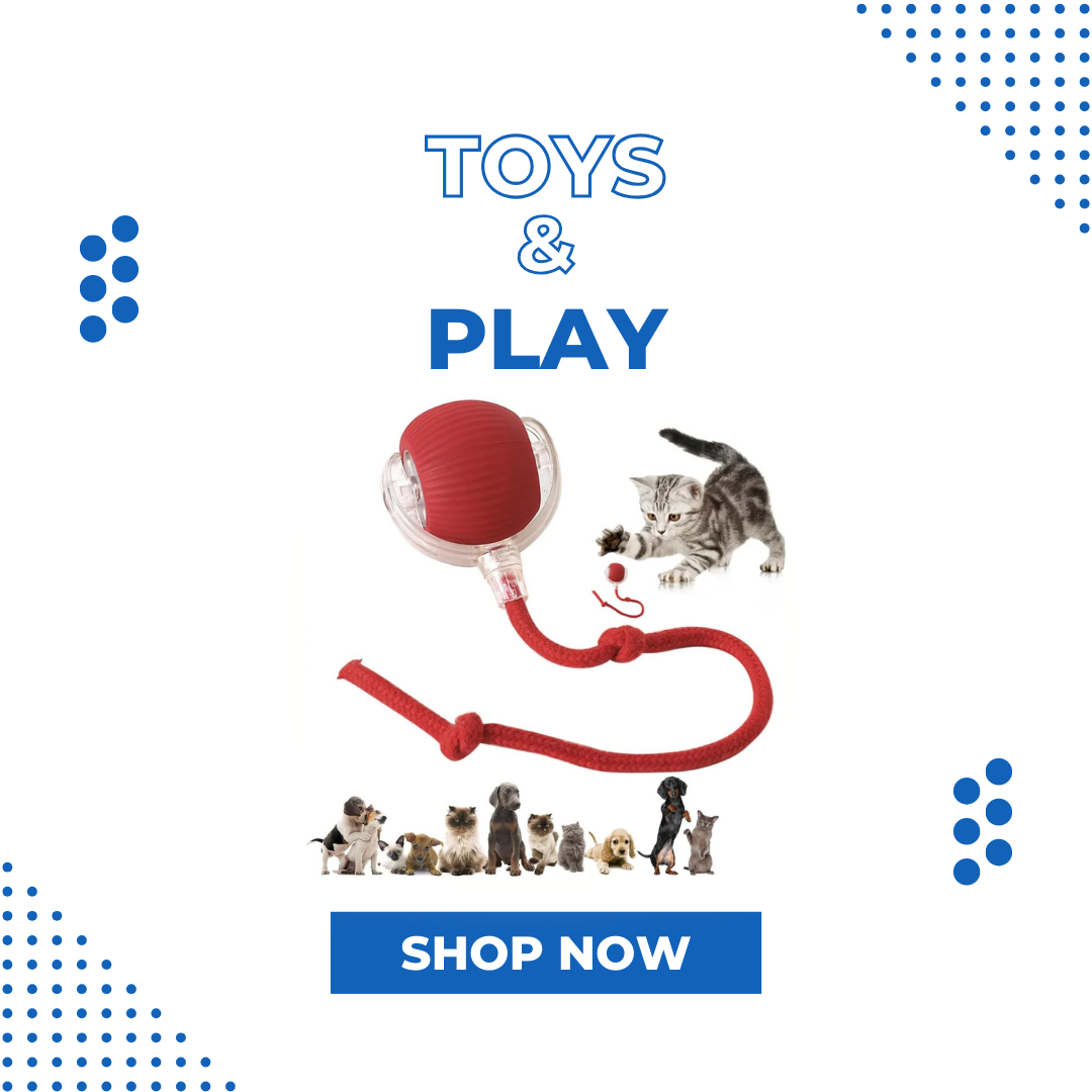 Toys & Play