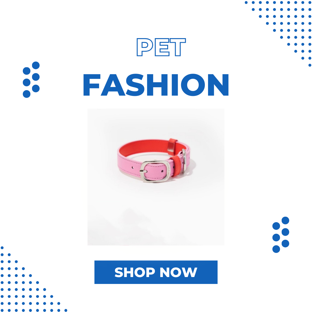 Pet Fashion