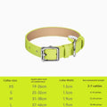 Buy colorful leather pet collar