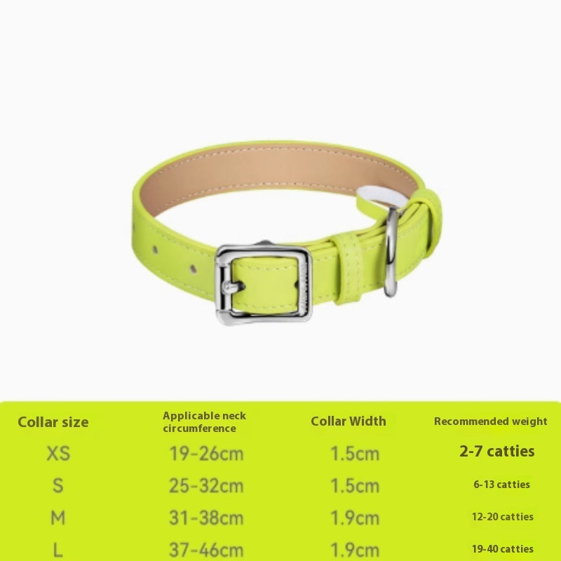 Buy colorful leather pet collar