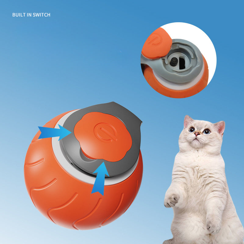 Speedy Tail Pet Toy
