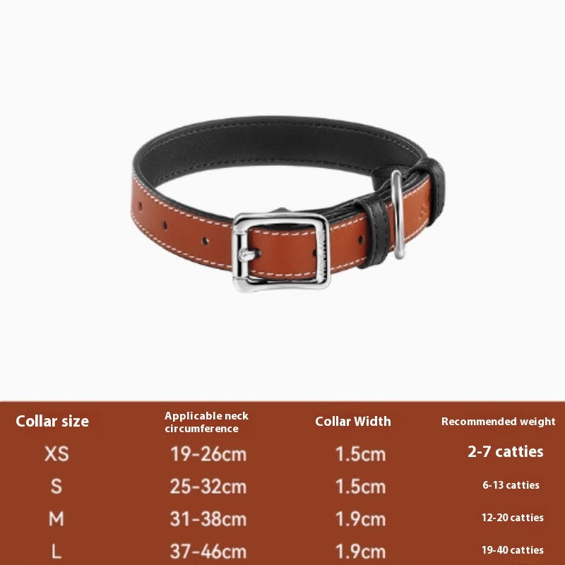 Buy colorful leather pet collar