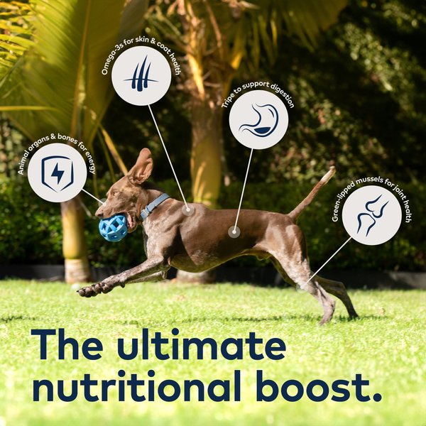 ZIWI Peak Grain Free Beef Recipe Canned Dog Food