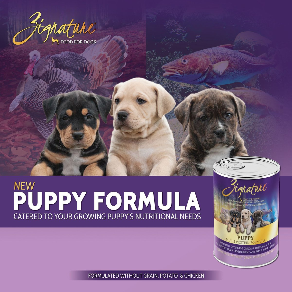 Zignature Grain Free Puppy Multi-Protein Formula Canned Dog Food
