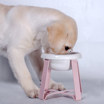 Ceramic Pet Bowl with Stand