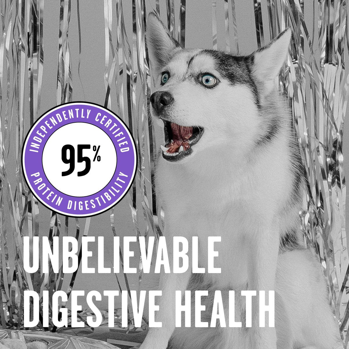 Bixbi Rawbble Freeze-Dried Lamb Recipe Dog Food