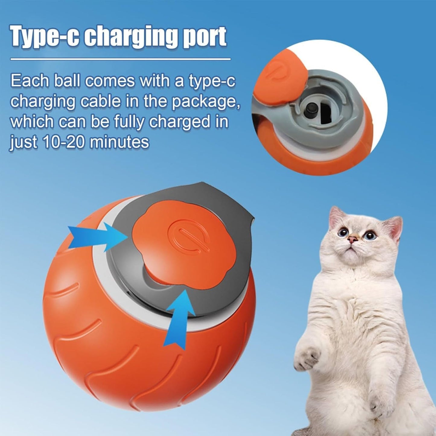 Speedy Tail Pet Toy