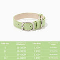 Buy colorful leather pet collar