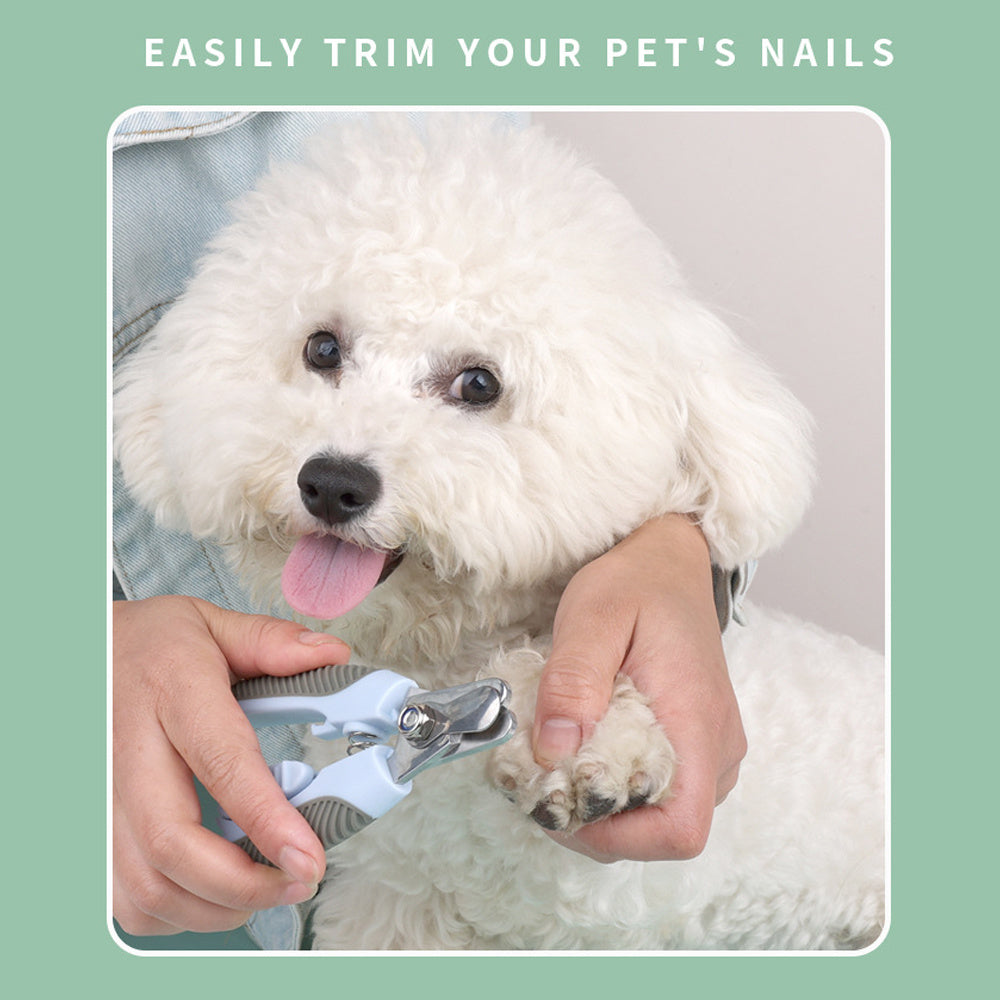 Professional Dog Nail