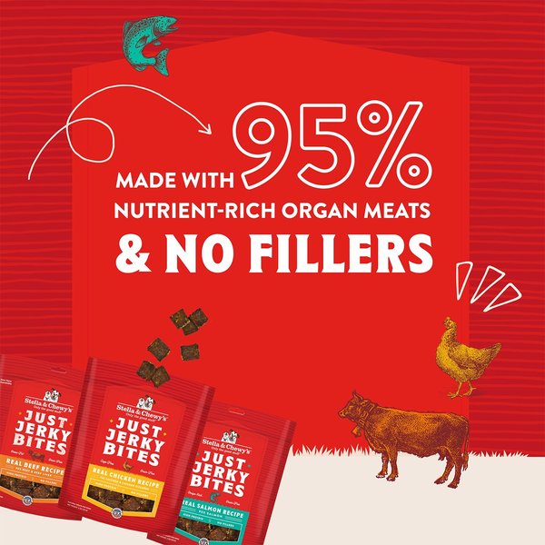 Stella & Chewy's Just Jerky Bites Real Salmon Recipe Grain-Free Dog Treats