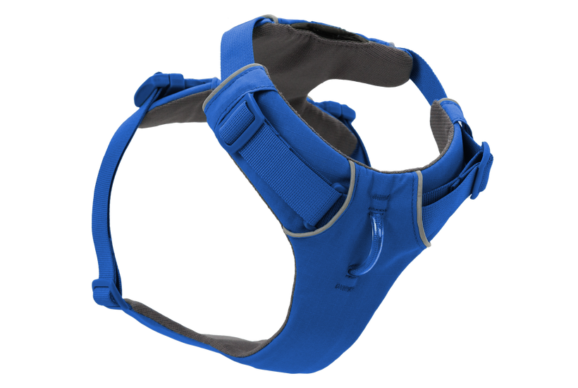 Ruffwear Front Range Dog Harness in Blue Pool