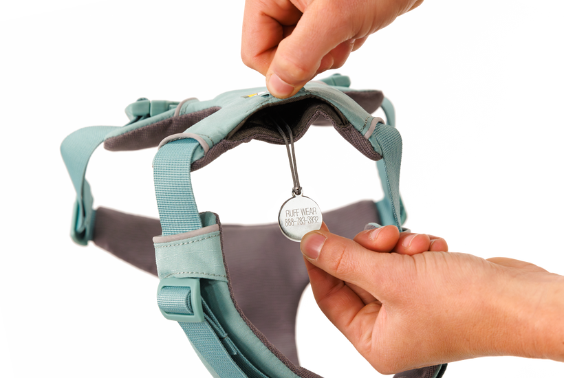 Ruffwear Front Range Dog Harness in River Rock Green