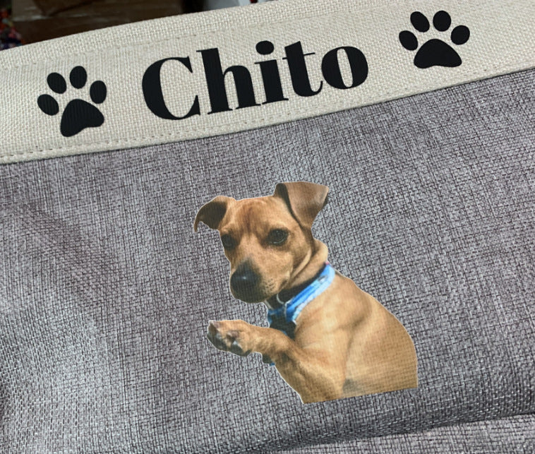 Personalized Pet Toy Basket