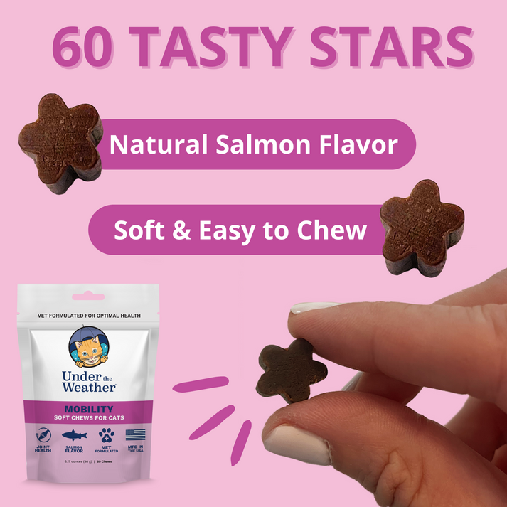 Under the Weather Mobility Soft Chews Supplement for Cats