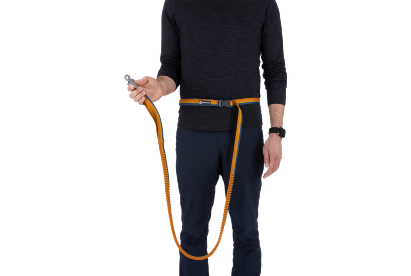Ruffwear Roamer Bungee Dog Leash in Yellow Snow