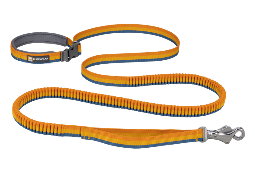 Ruffwear Roamer Bungee Dog Leash in Yellow Snow