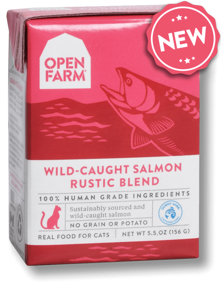 Open Farm Grain Free Wild Caught Salmon Recipe Rustic Blend Wet Cat Food