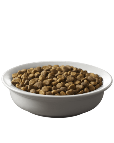 Purina Pro Plan Savor Adult Salmon & Rice Formula Dry Cat Food