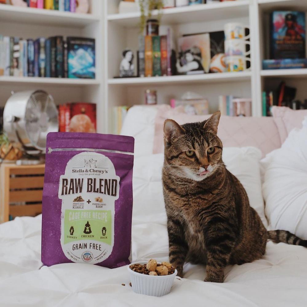 Stella & Chewy's Raw Blend Kibble Cage Free Poultry Recipe Freeze-Dried Raw Coated Kibble + Freeze-Dried Raw Dry Cat Food