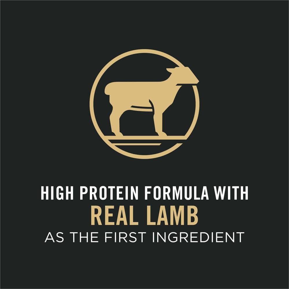 Purina Pro Plan Sensitive Skin & Stomach Formula Lamb & Oat Meal Formula Dry Dog Food