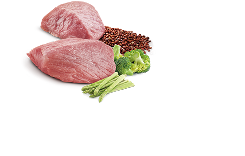 Farmina Quinoa Weight Management Lamb Canned Cat Food