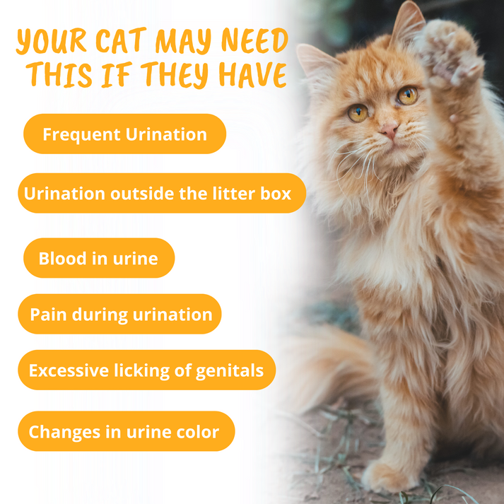 Under the Weather Urinary Support Soft Chews Supplement for Cats