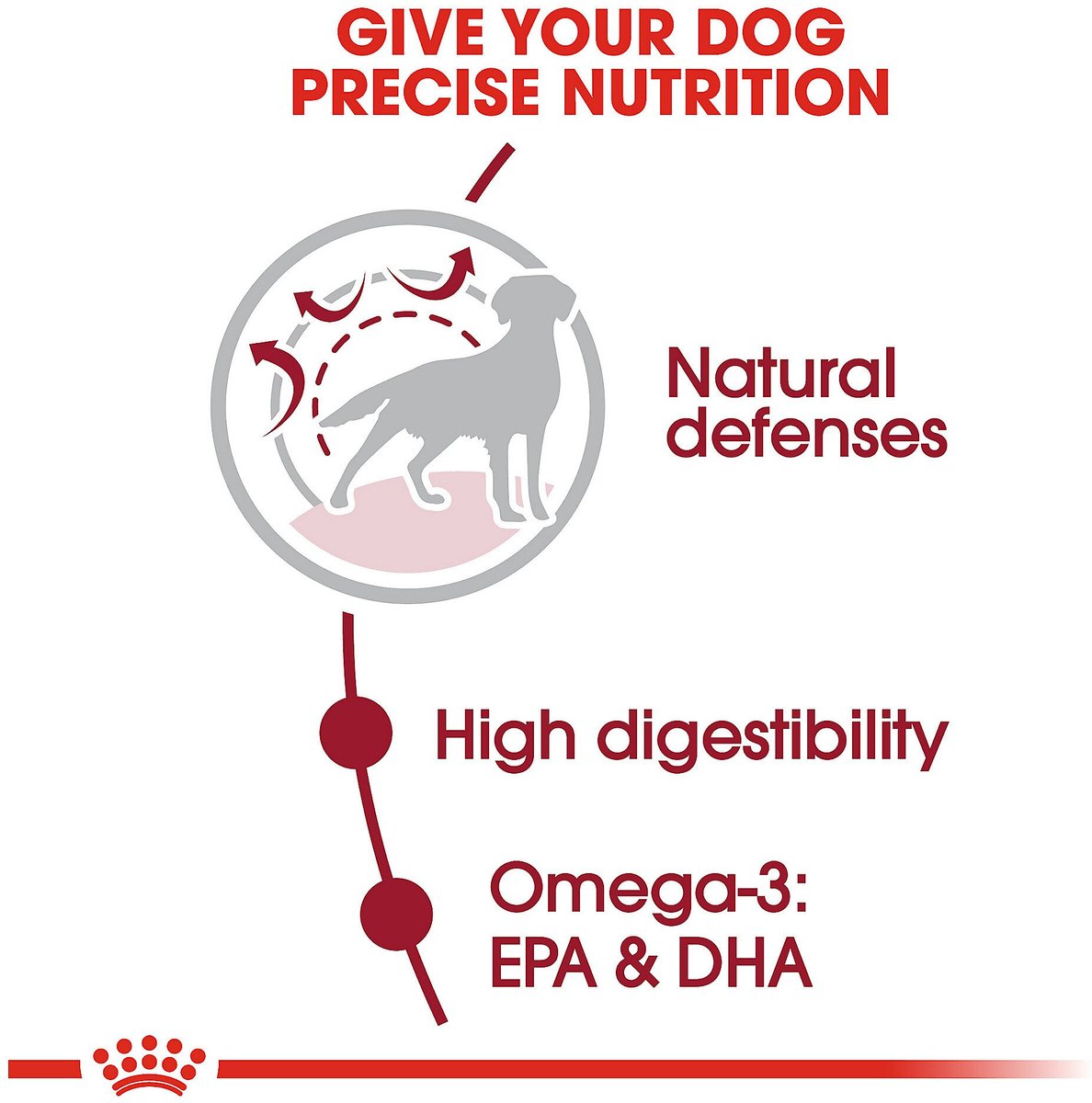 Royal Canin Medium Adult Formula Dry Dog Food