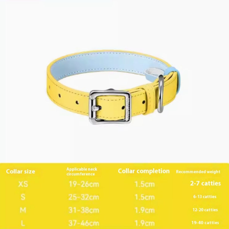 Buy colorful leather pet collar