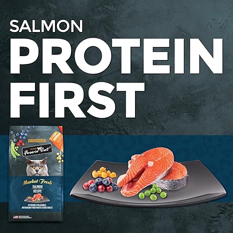 Fussie Cat Market Fresh Grain Free Salmon Recipe Dry Cat Food