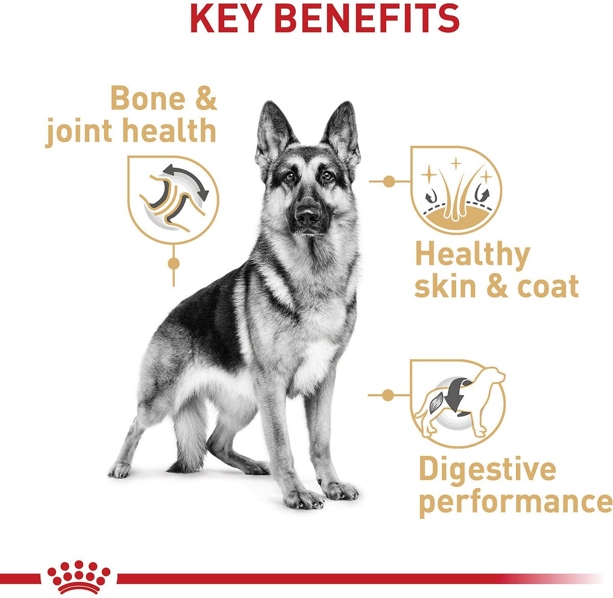 Royal Canin Adult German Shepherd Dry Dog Food
