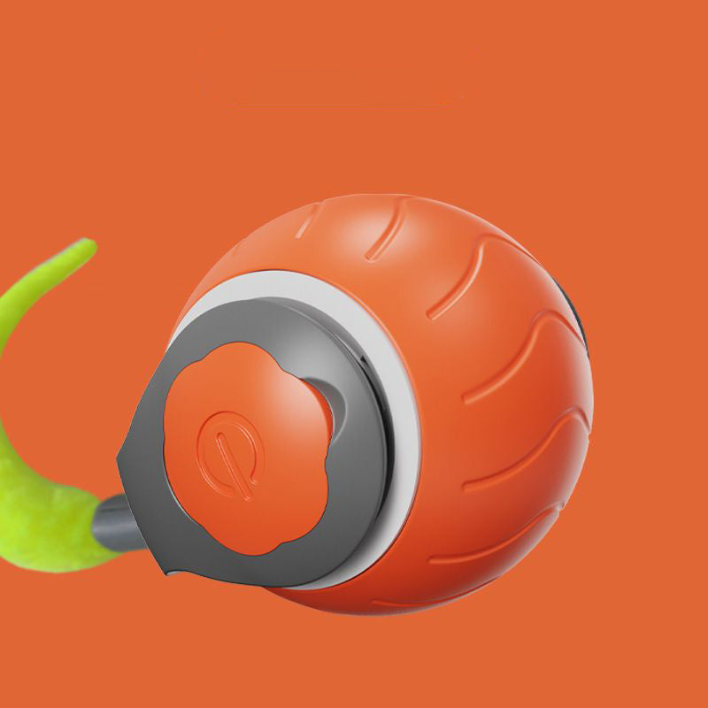 Speedy Tail Pet Toy
