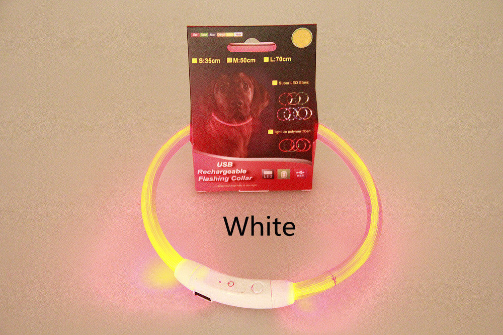 USB Rechargeable LED Dog Collar
