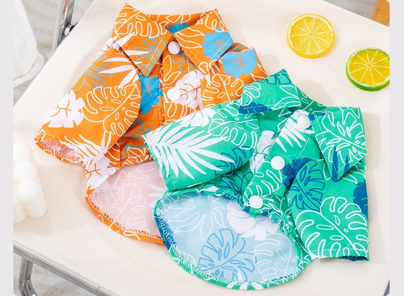 Pet Beach Wear