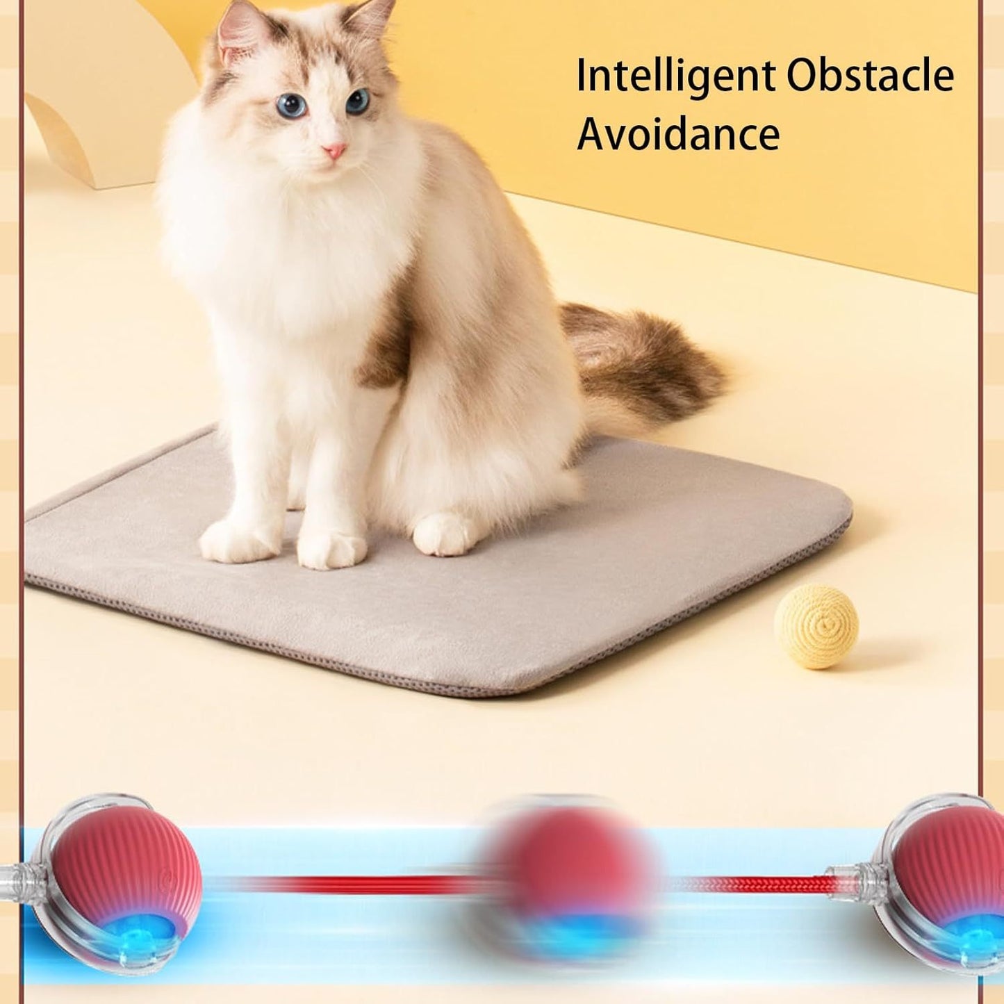 Interactive Rolling Pet Ball
