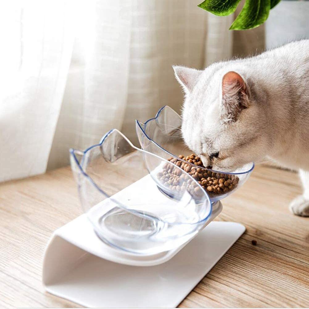 Pet Double Feeding Bowl