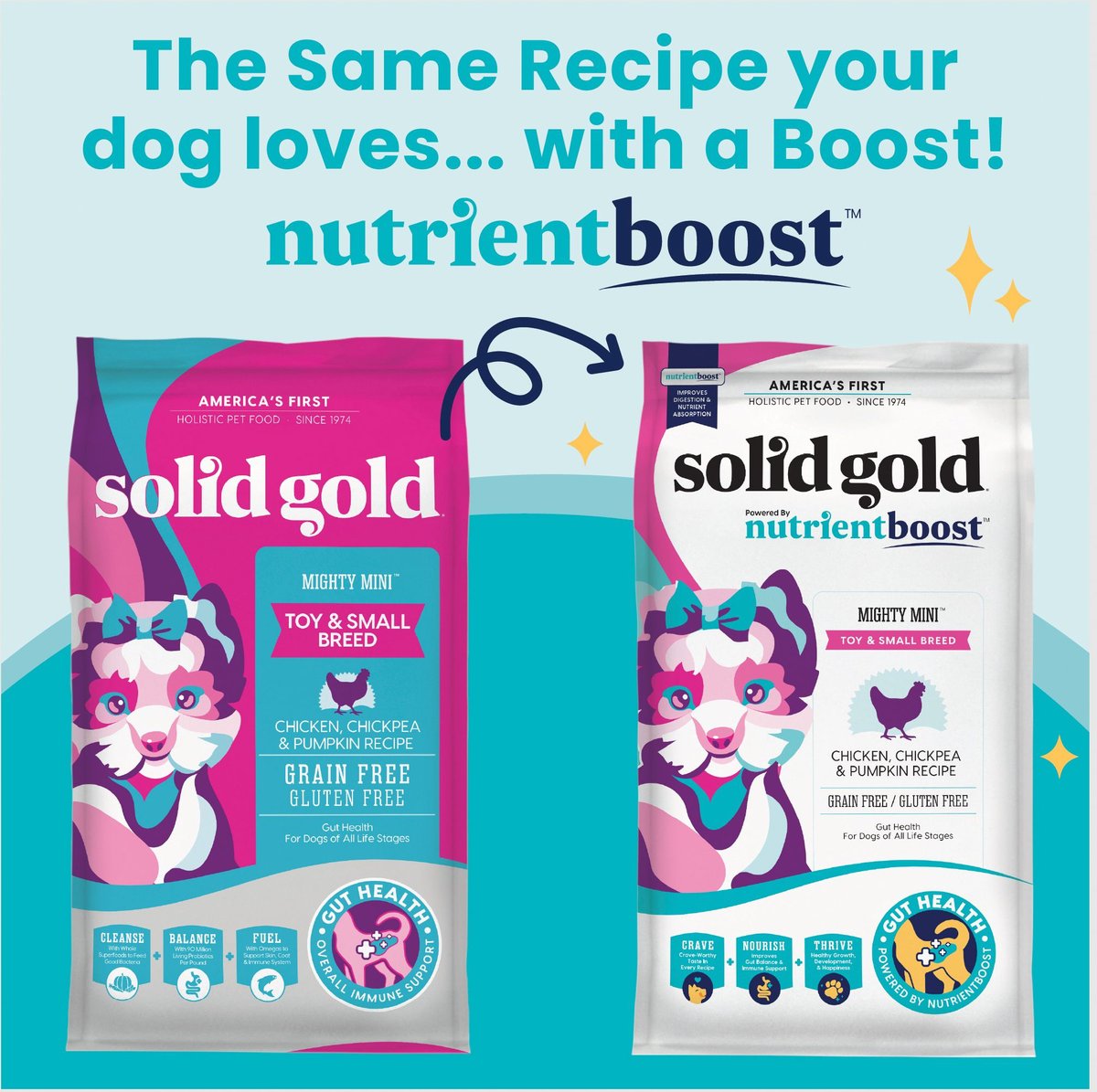 Solid Gold NutrientBoost Mighty Mini Chicken Recipe Dry Dog Food
