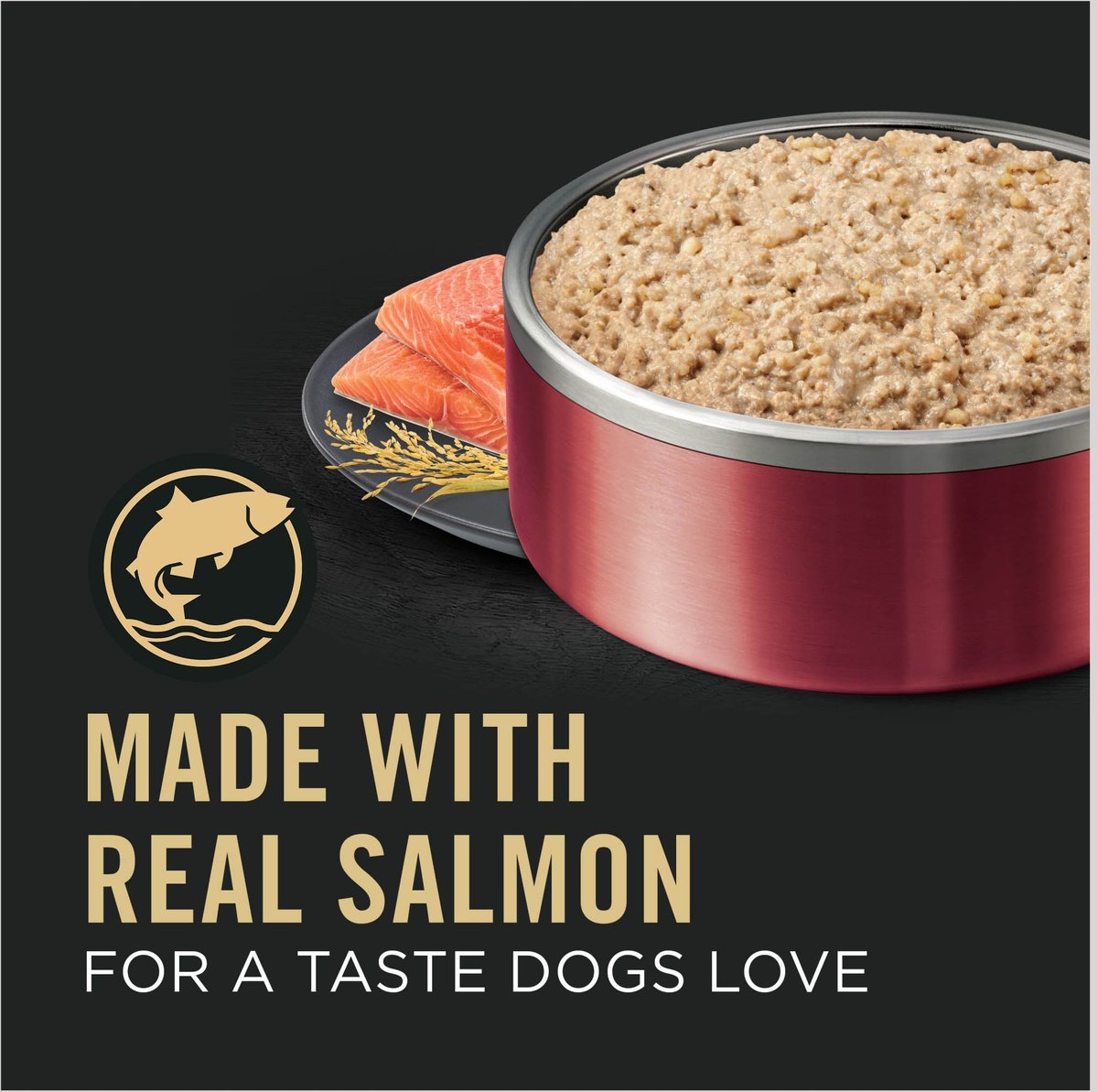 Purina Pro Plan Sensitive Skin & Stomach Salmon & Rice Entrée Canned Dog Food