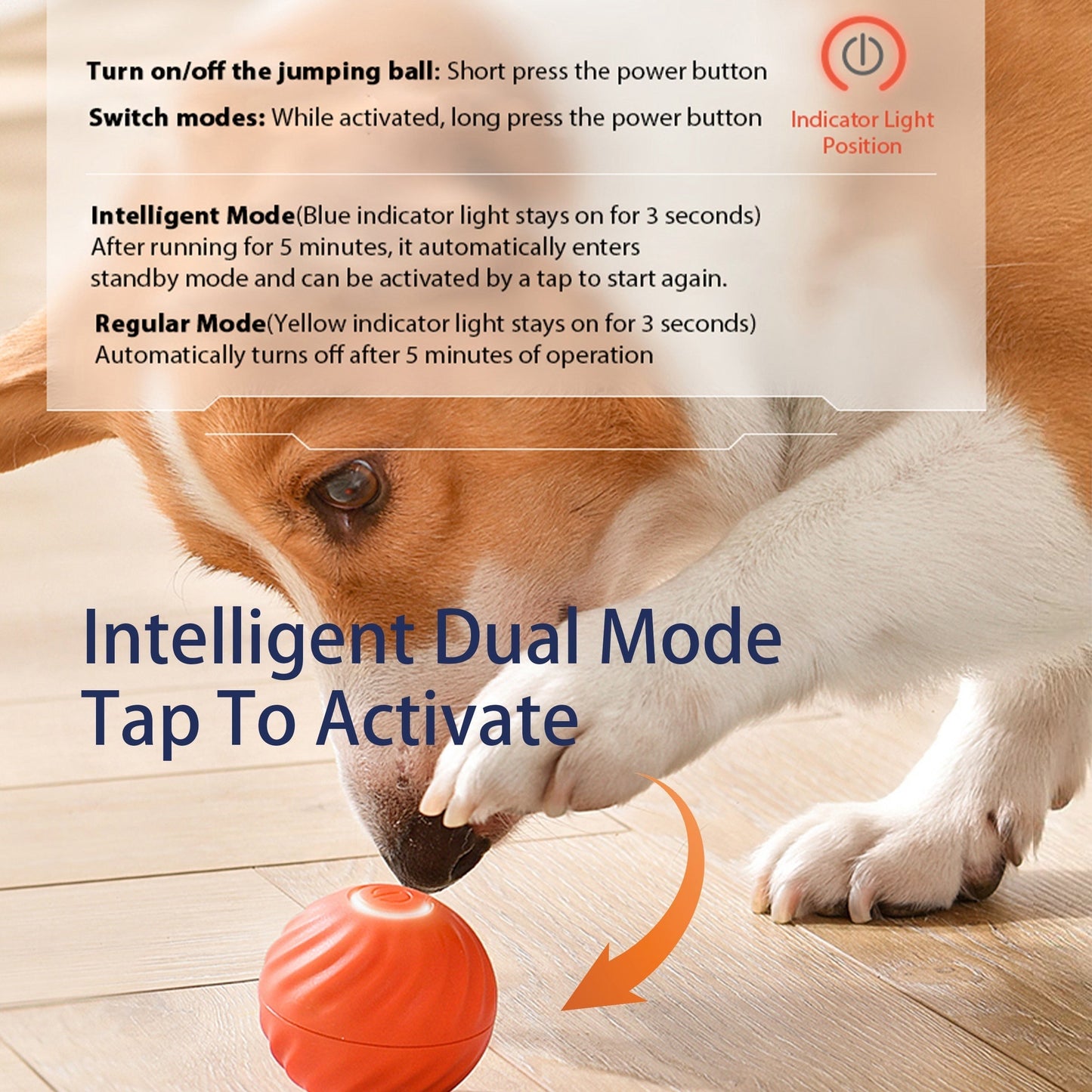 Automatic Pet Toy Ball