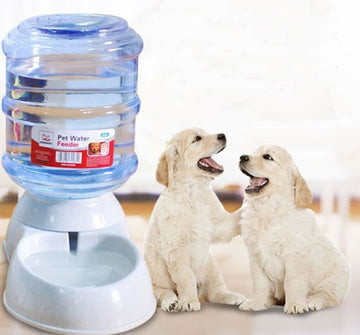 Automatic Pet Feeder & Water Dispenser