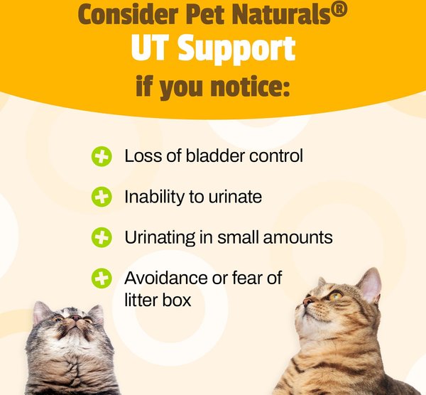Pet Naturals UT Support Supplement Chews for Cats