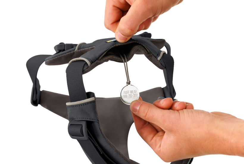 Ruffwear Front Range Dog Harness in Basalt Gray