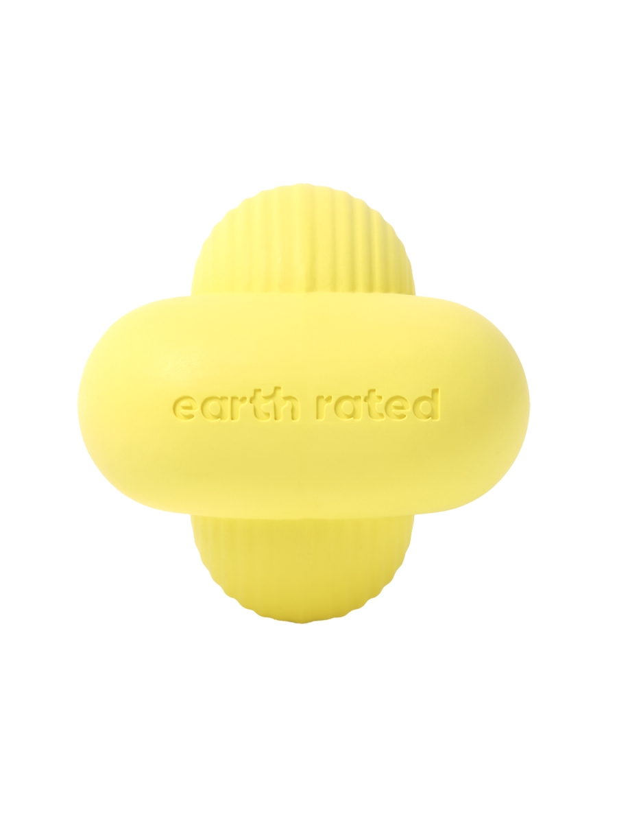Earth Rated Fetch Dog Toy