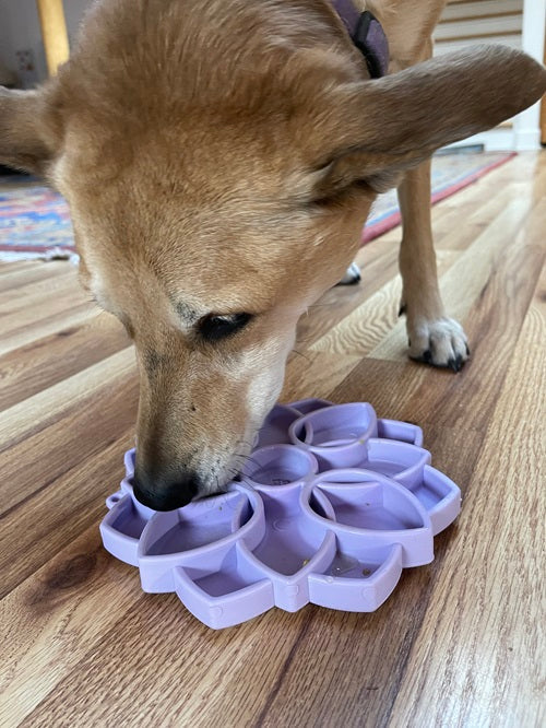 SodaPup Pastel Purple Mandala Softie eTray Enrichment Shallow Slow Feeder Bowl with Suction Cups for Dogs