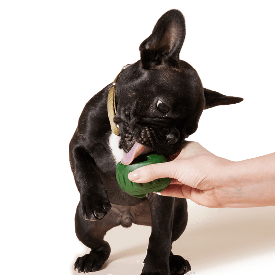 Woof Pupsicle Treat Tray