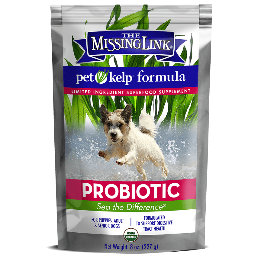 The Missing Link Pet Kelp Probiotic Formula Supplement for Dogs