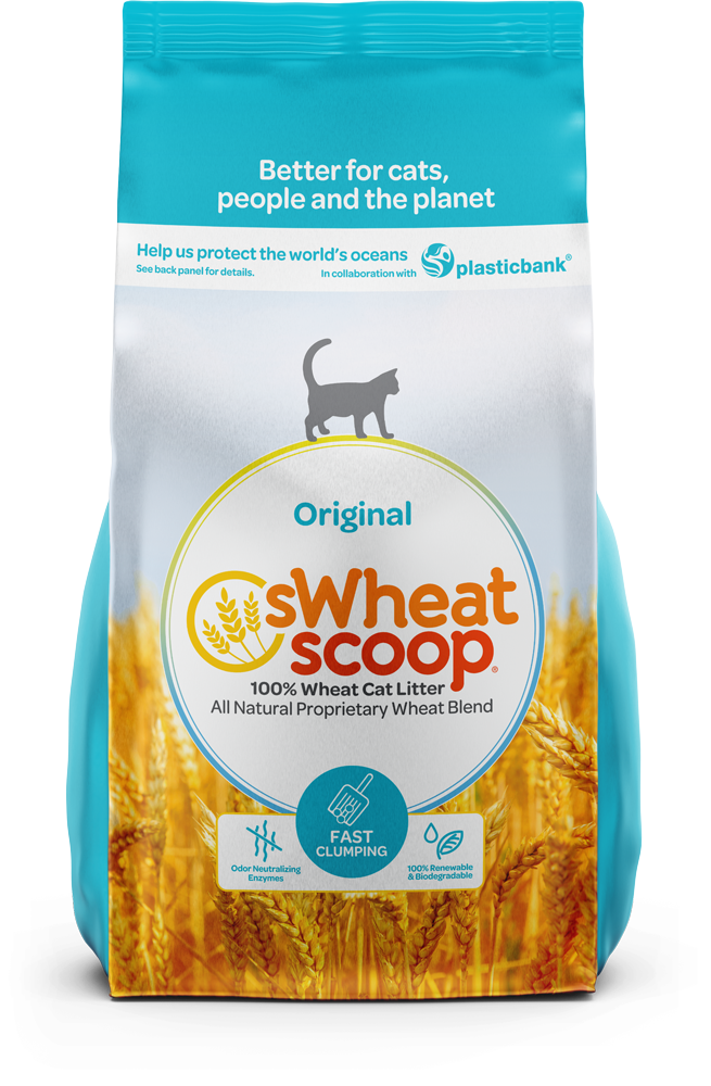 sWheat Scoop Fast Clumping Natural Original Cat Litter