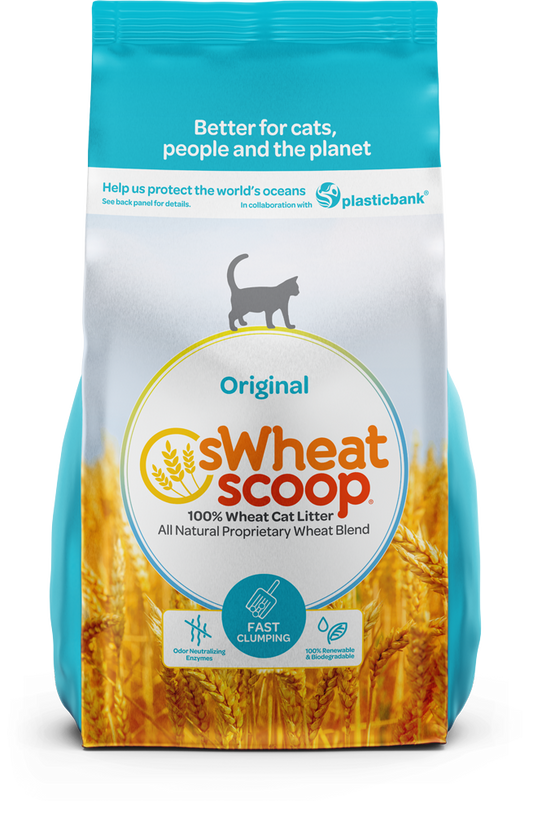 sWheat Scoop Fast Clumping Natural Original Cat Litter