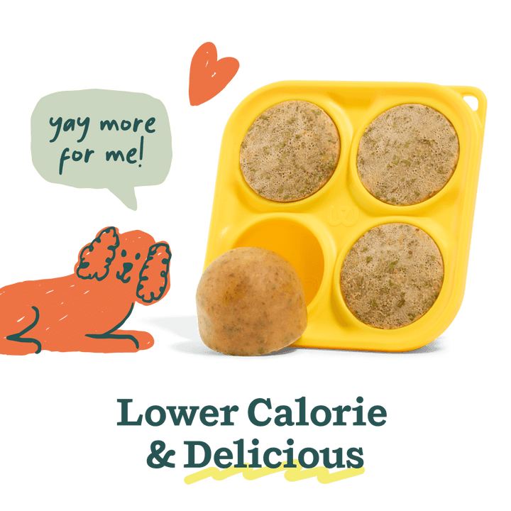 Woof Pupsicle Treat Mix Bacon & Cheese Lickable Dog Treats