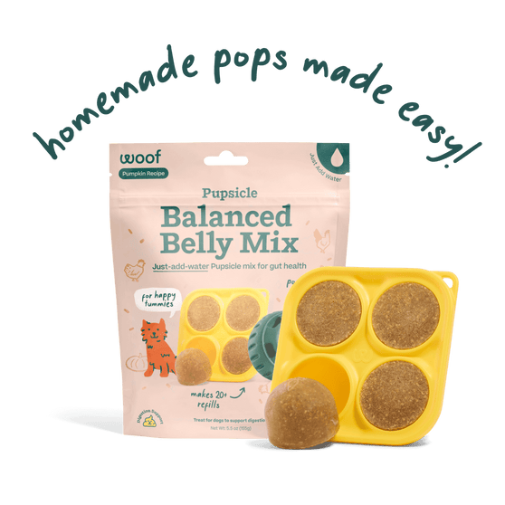 Woof Pupsicle Treat Mix Balanced Belly Lickable Dog Treats
