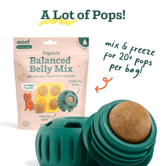 Woof Pupsicle Treat Mix Balanced Belly Lickable Dog Treats